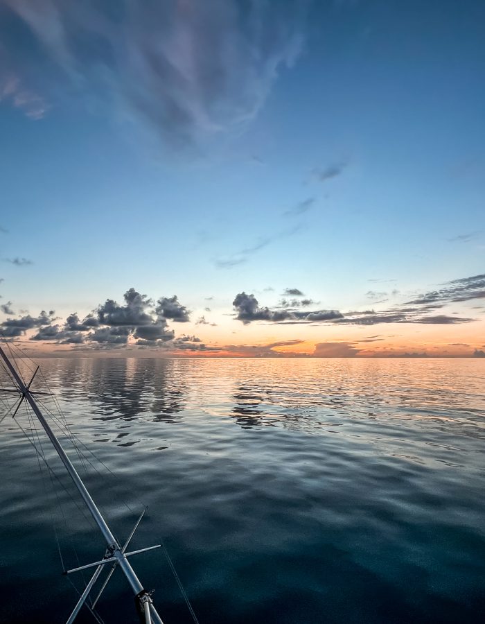 Tuna Fishing Charters Galveston