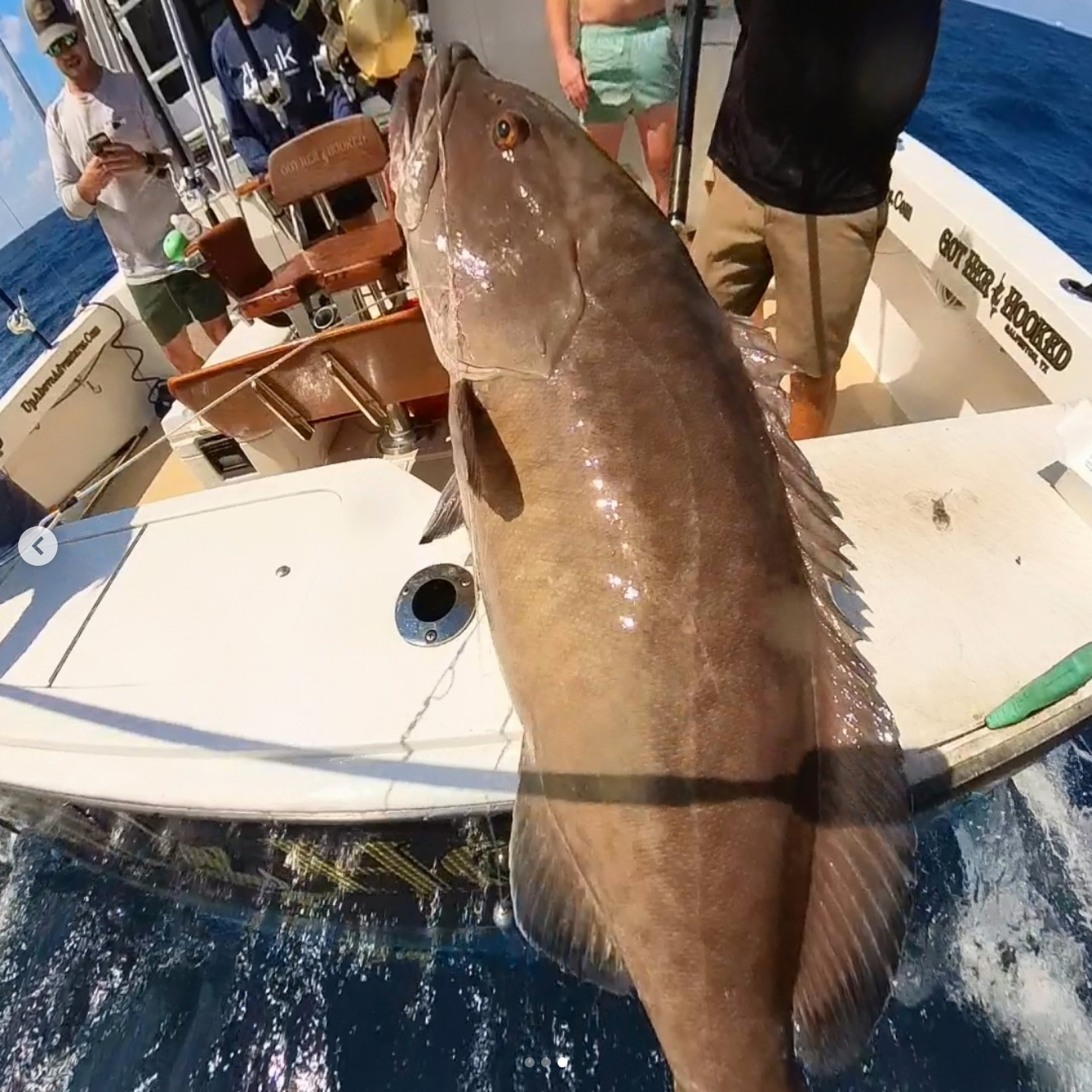 fishing for grouper in May