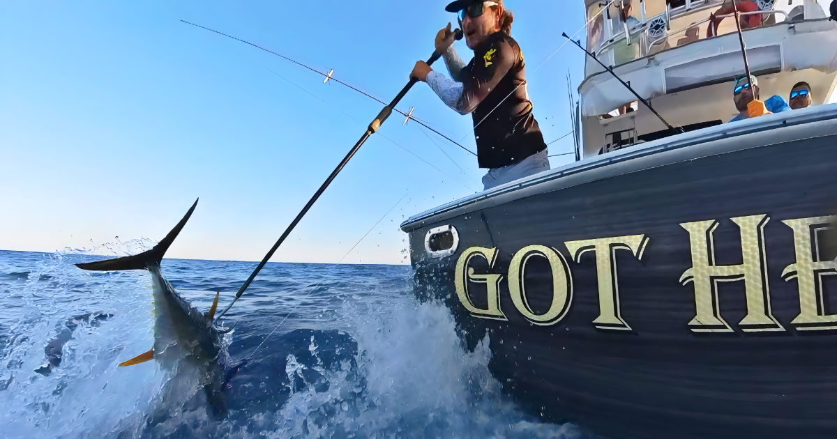 June fishing