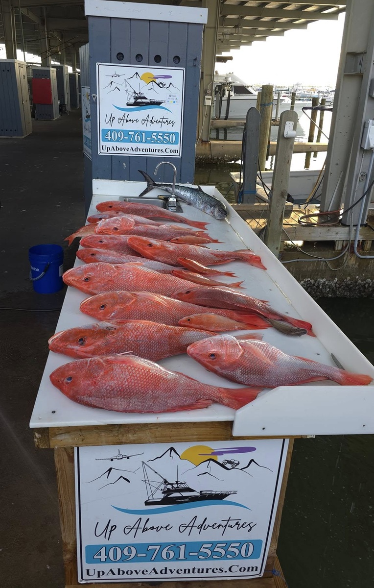 Galveston Fishing July