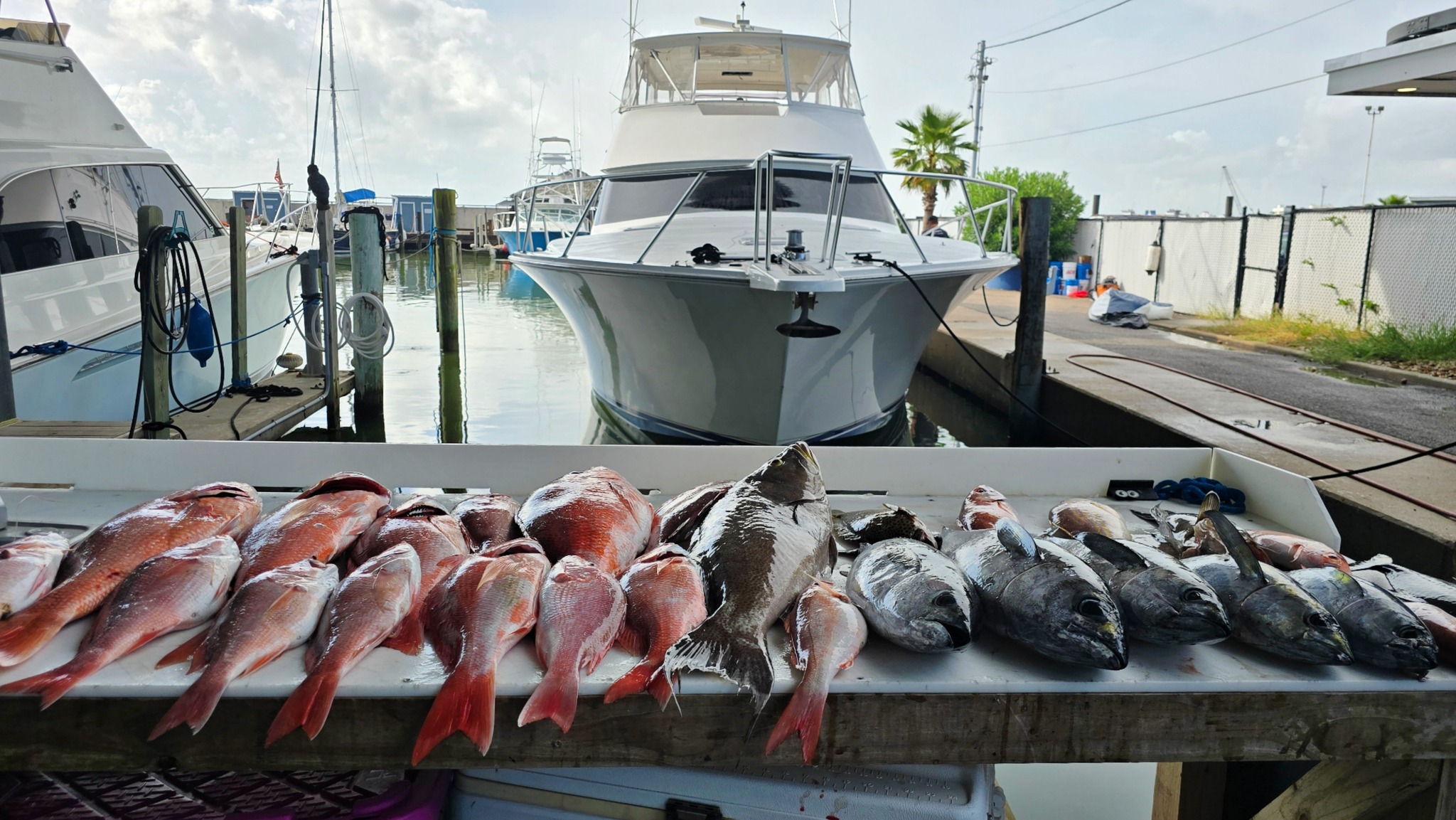 August Fishing Charter Galveston