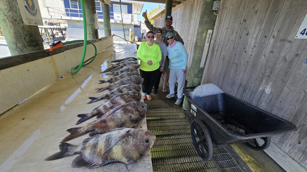 Up Above Adventures Freeman