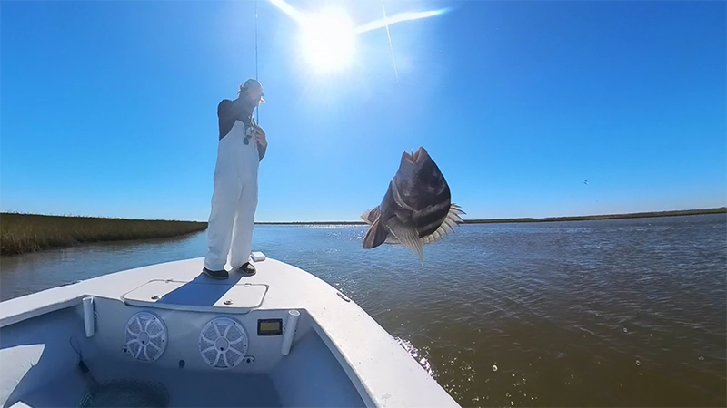 Galveston Inshore Bay Fishing Charter